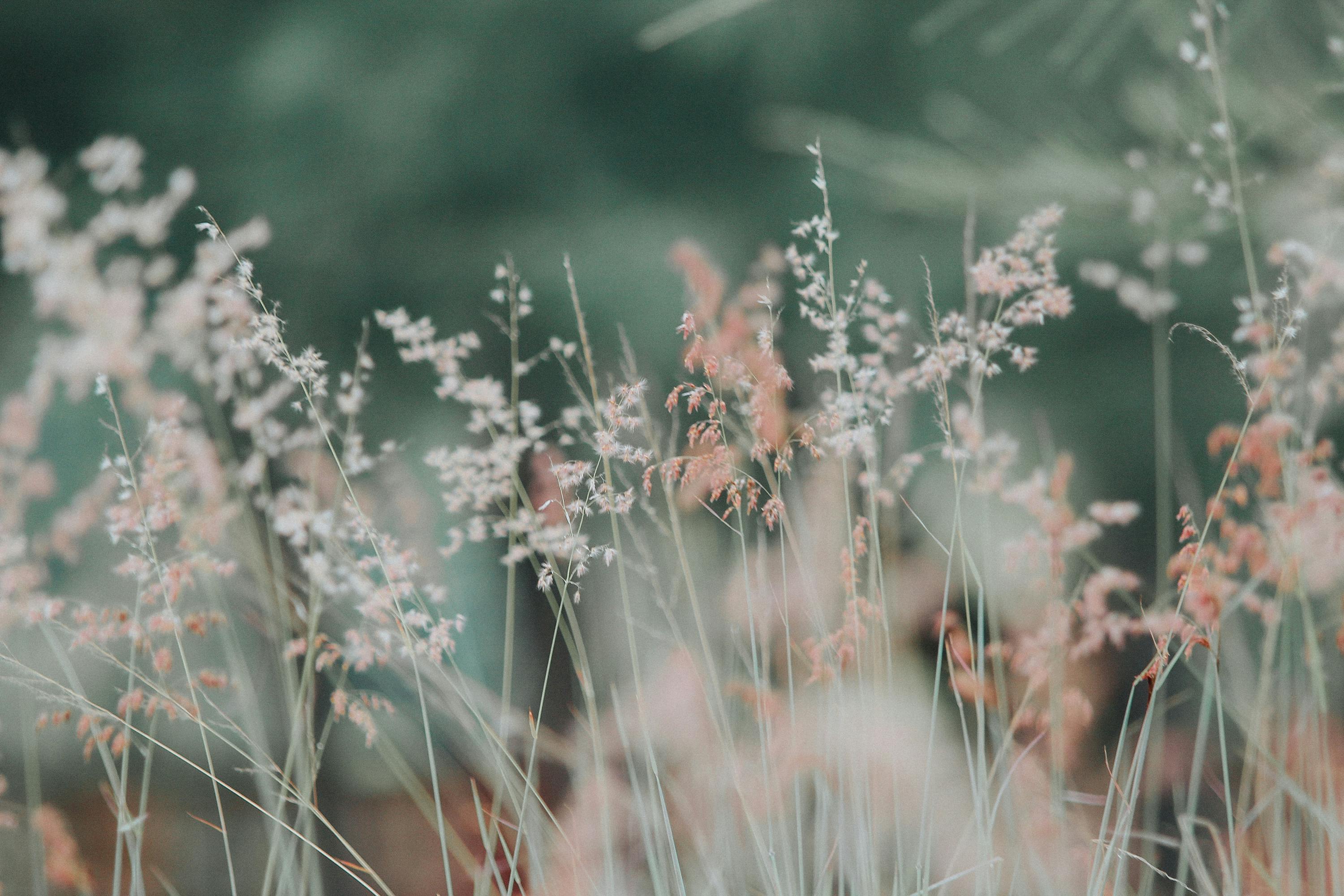 Decorative flowers